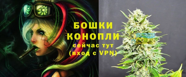 дмт Арсеньев