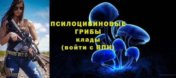 МДПВ Аркадак