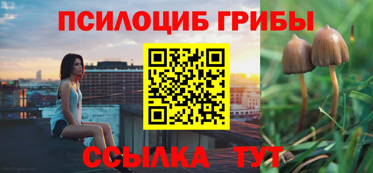 Елабуга  Псилоцибиновые грибы мухоморы  Вход с VPN 