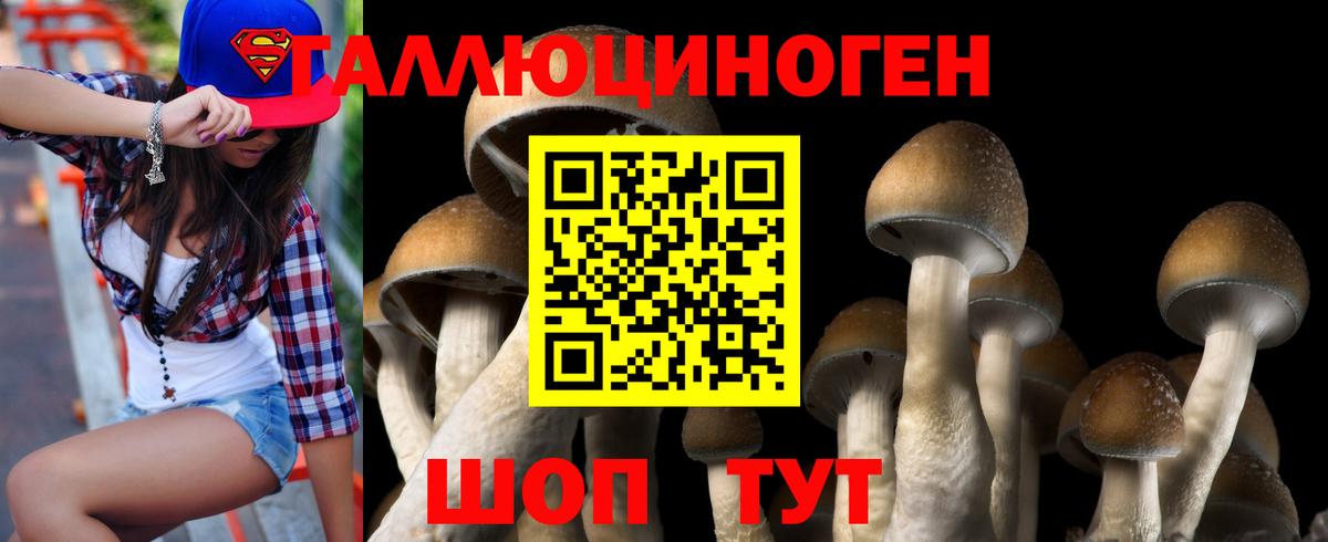 Псилоцибиновые грибы ЛСД Елабуга